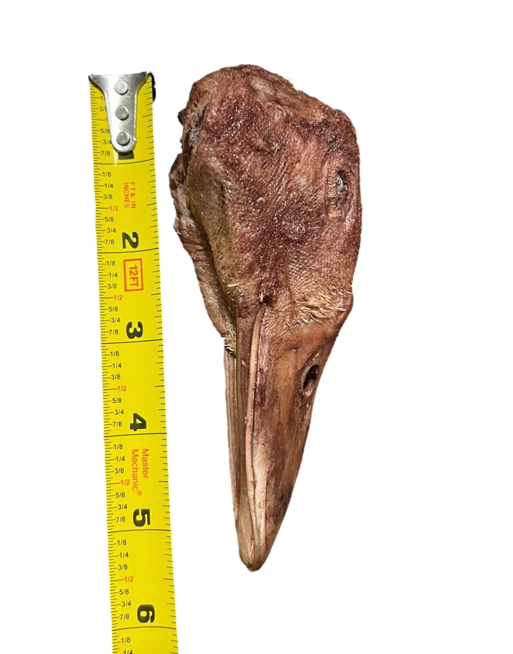 Freeze Dried Duck Heads